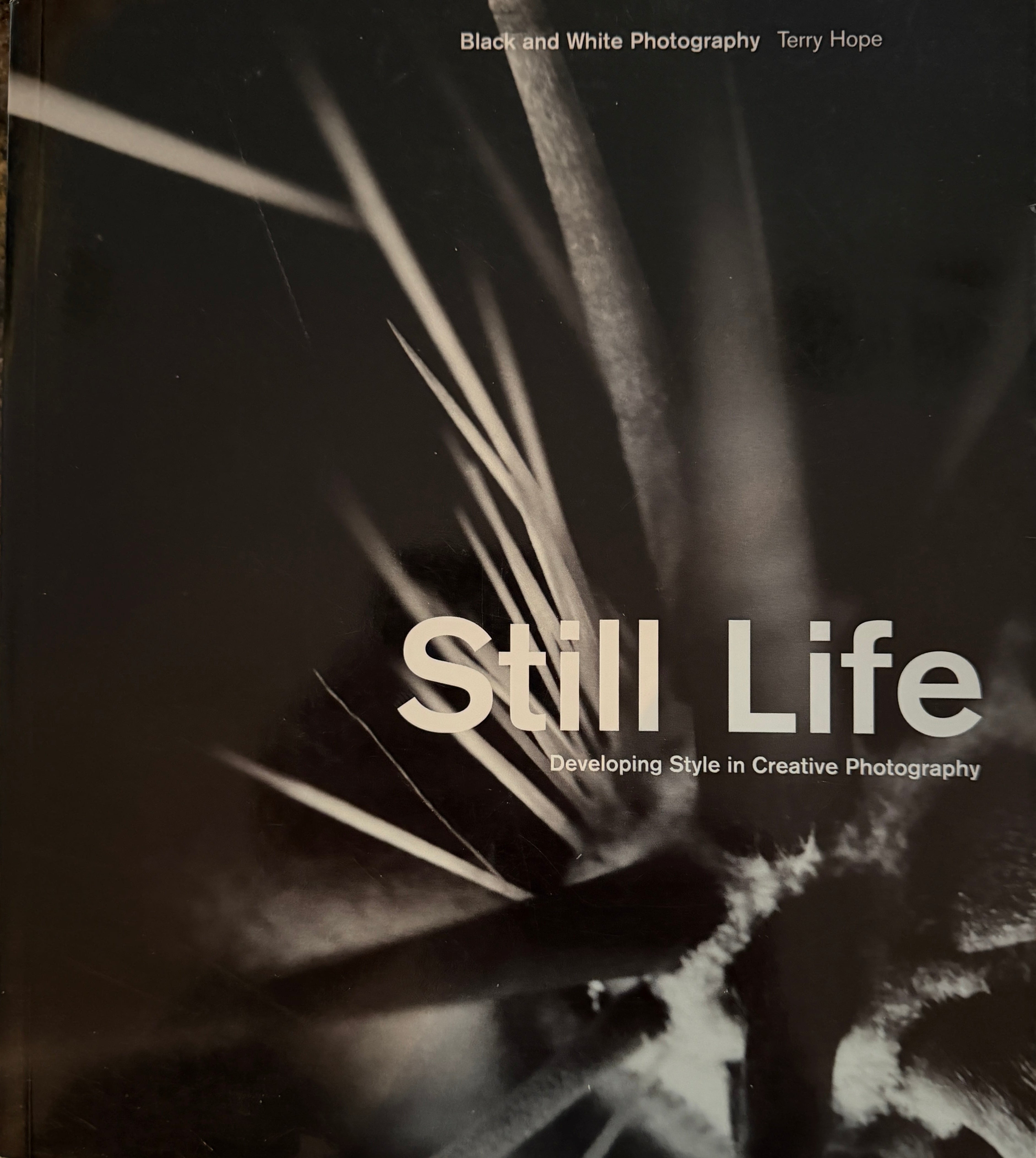 Still Life by Terry Hope (Paperback)